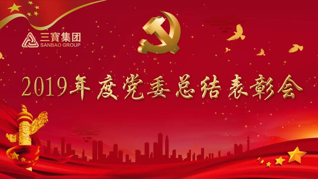 萬眾一心加油干，不負(fù)韶華勇向前｜三寶集團(tuán)黨委召開2019年度總結(jié)表彰會(huì)